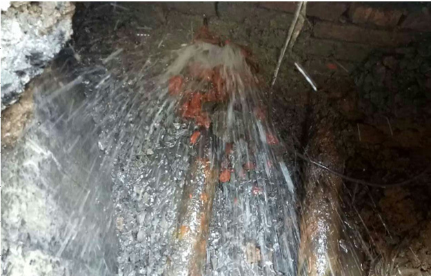 1658797724667793.jpg 47d4746c-9573-46a7-936c-e3a06a3db721.jpg