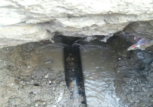 1658805402506272.jpg 12d07027-e036-46a0-84bb-d430fb2256c9.jpg