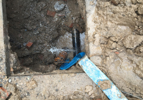 1658805520126346.jpg 9b41a778-28d2-4b6a-ac68-2c3fe1276813.jpg