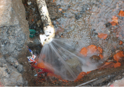 1658805441602123.jpg 8dff0d61-3c5b-4a33-ace5-f3552198a4da.jpg