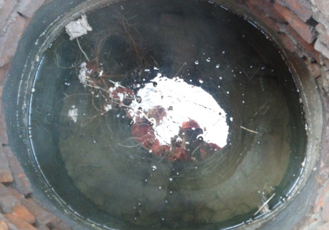 1658806203763252.jpg cd176aba-7109-4132-8d31-02b43d380178.jpg